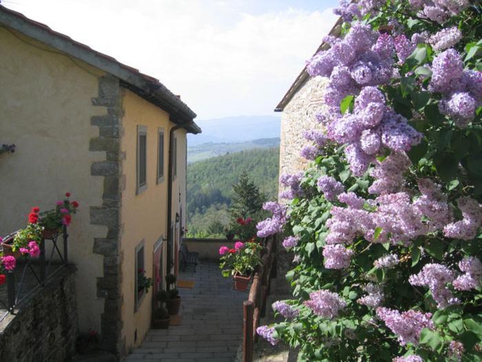 مبيت وإفطار براتوفيتشيو Borgo Tramonte المظهر الخارجي الصورة