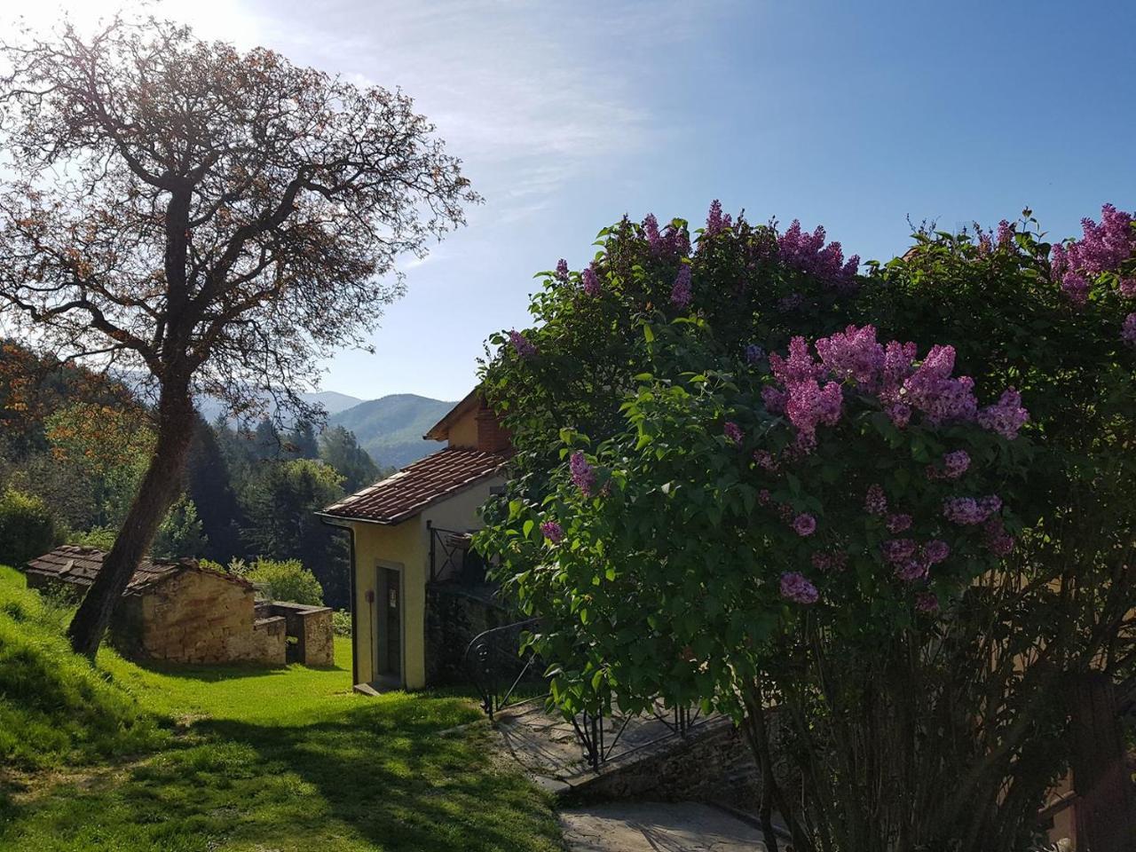 مبيت وإفطار براتوفيتشيو Borgo Tramonte المظهر الخارجي الصورة