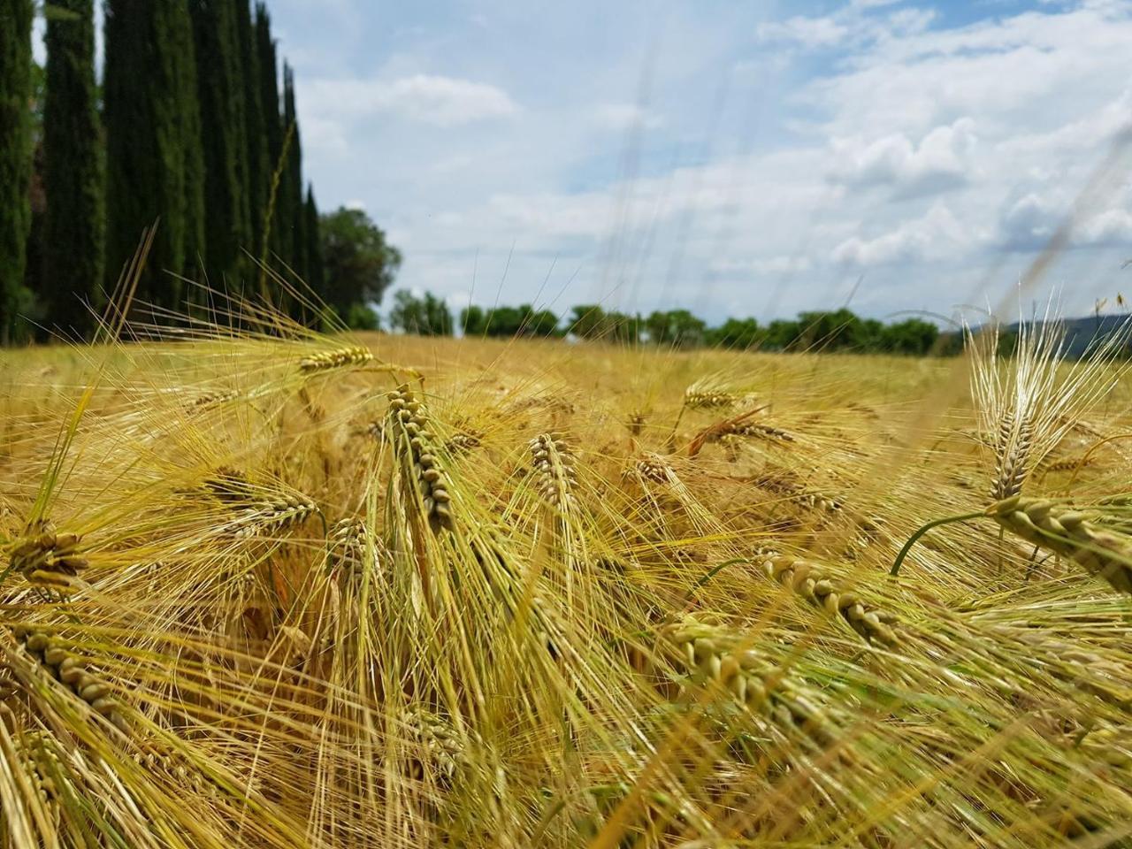 مبيت وإفطار براتوفيتشيو Borgo Tramonte المظهر الخارجي الصورة